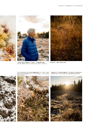 adresseavisen_uka-20231125_000_00_00_021.pdf