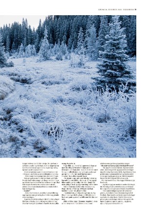 adresseavisen_uka-20231216_000_00_00_019.pdf