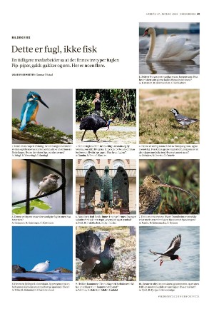 adresseavisen_uka-20240127_000_00_00_039.pdf