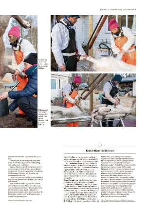 adresseavisen_uka-20240203_000_00_00_015.pdf