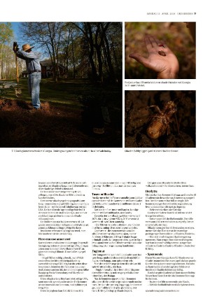adresseavisen_uka-20240413_000_00_00_017.pdf