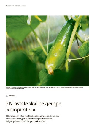 adresseavisen_uka-20240518_000_00_00_018.pdf