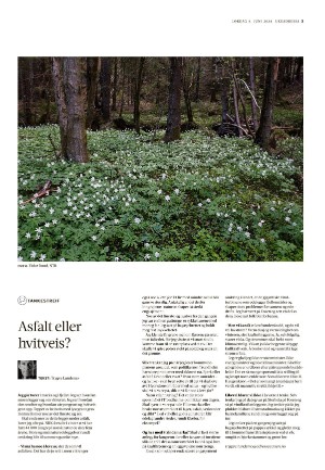 adresseavisen_uka-20240608_000_00_00_003.pdf