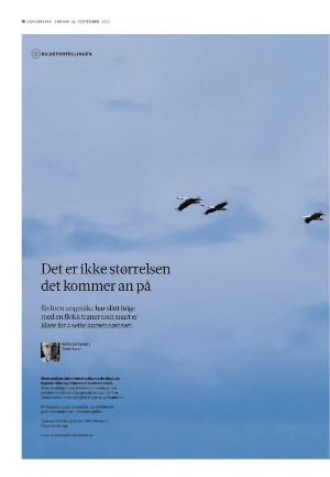 adresseavisen_uka-20240921_000_00_00_016.pdf