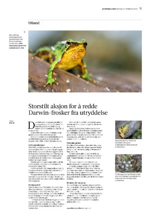 adresseavisen_uka-20250215_000_00_00_011.pdf