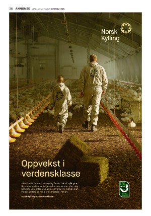 adresseavisen_uka-20250412_000_00_00_036.pdf