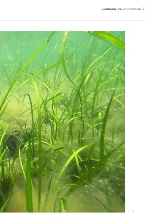 adresseavisen_uka-20250927_000_00_00_003.pdf