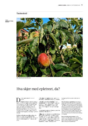 adresseavisen_uka-20250927_000_00_00_011.pdf