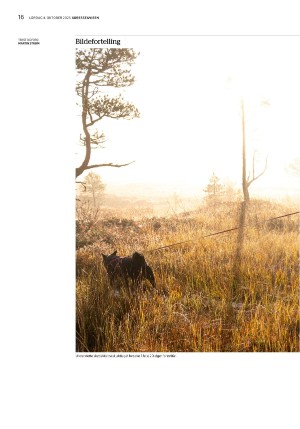 adresseavisen_uka-20251004_000_00_00_016.pdf