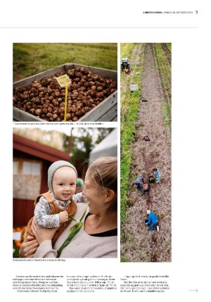 adresseavisen_uka-20251018_000_00_00_005.pdf