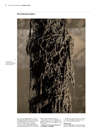 adresseavisen_uka-20251108_000_00_00_006.pdf