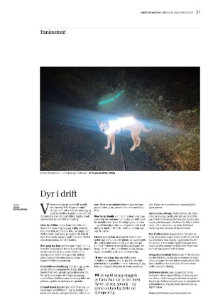 adresseavisen_uka-20251115_000_00_00_021.pdf