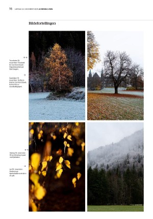 adresseavisen_uka-20251122_000_00_00_016.pdf