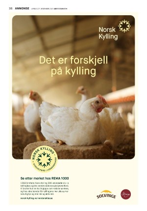 adresseavisen_uka-20251227_000_00_00_036.pdf