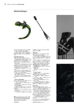 adresseavisen_uka-20260110_000_00_00_014.pdf