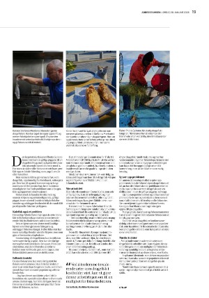 adresseavisen_uka-20260110_000_00_00_019.pdf