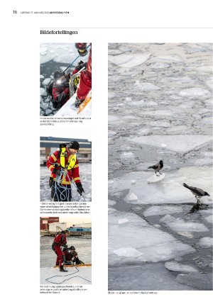 adresseavisen_uka-20260117_000_00_00_016.pdf