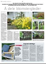 aftenbladet-20060609_000_00_00_068.pdf