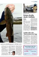 aftenbladet-20061006_000_00_00_005.pdf