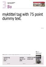 aftenbladet-20061006_000_00_00_090.pdf