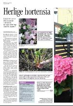 aftenbladet-20070518_000_00_00_092.pdf