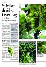 aftenbladet-20070914_000_00_00_092.pdf