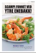 aftenbladet-20080326_000_00_00_011.pdf