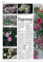 aftenbladet-20080627_000_00_00_068.pdf