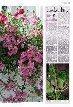 aftenbladet-20080627_000_00_00_069.pdf