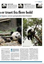 aftenbladet-20080801_000_00_00_019.pdf