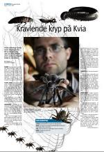 aftenbladet-20081003_000_00_00_008.pdf