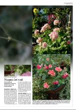 aftenbladet-20081003_000_00_00_095.pdf
