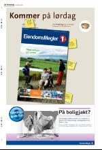 aftenbladet-20081030_000_00_00_034.pdf