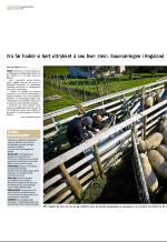 aftenbladet-20081108_000_00_00_118.pdf