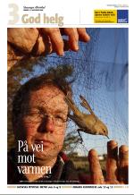 aftenbladet-20081115_000_00_00_113.pdf