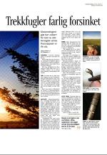 aftenbladet-20081115_000_00_00_119.pdf