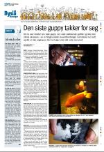 aftenbladet-20090117_000_00_00_048.pdf