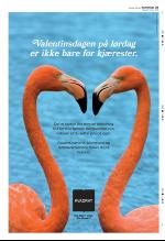 aftenbladet-20090212_000_00_00_029.pdf