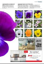 aftenbladet-20090414_000_00_00_047.pdf