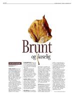 aftenbladet-20091120_000_00_00_120.pdf