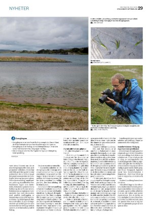 aftenbladet-20220520_000_00_00_029.pdf