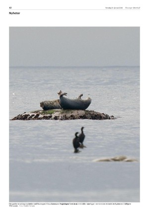 aftenbladet-20260129_000_00_00_012.pdf