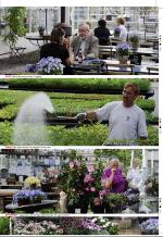 aftenbladet_bilag-20080529_000_00_00_029.pdf