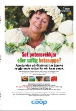 aftenbladet_bilag-20080722_000_00_00_016.pdf
