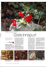 aftenbladet_bilag-20081007_000_00_00_046.pdf