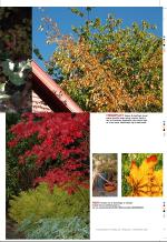 aftenbladet_bilag-20081007_000_00_00_047.pdf