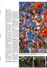 aftenbladet_bilag-20081007_000_00_00_048.pdf