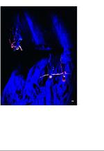 aftenbladet_bilag-20081223_000_00_00_029.pdf
