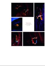 aftenbladet_bilag-20081223_000_00_00_032.pdf