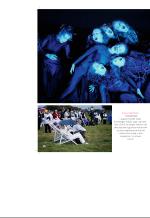aftenbladet_bilag-20081223_000_00_00_038.pdf